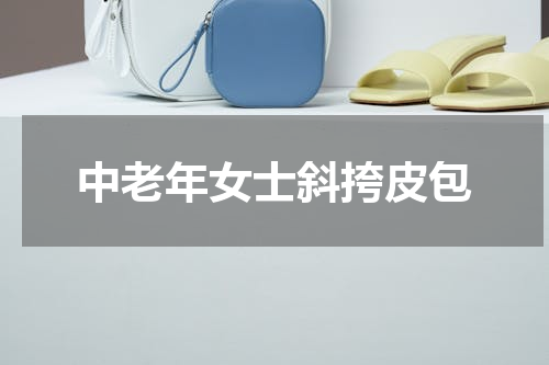 中老年女士斜挎皮包