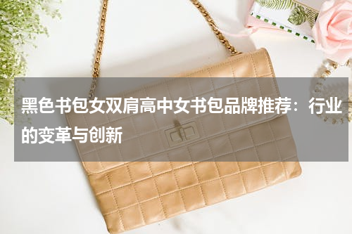 黑色书包女双肩高中女书包品牌推荐：行业的变革与创新