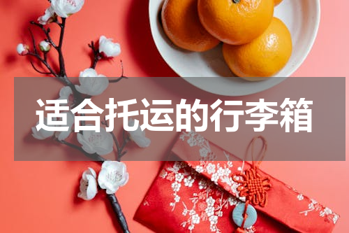 适合托运的行李箱