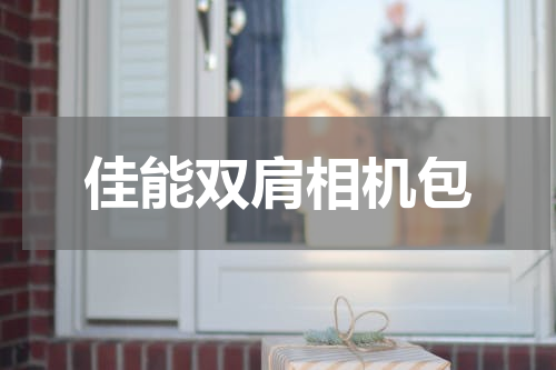 佳能双肩相机包