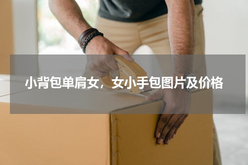 小背包单肩女，女小手包图片及价格