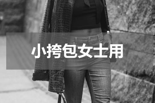 小挎包女士用