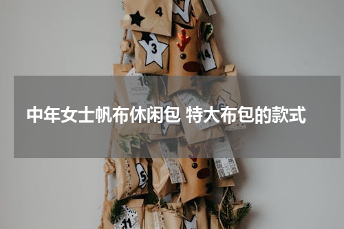 中年女士帆布休闲包 特大布包的款式