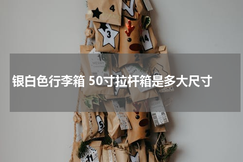 银白色行李箱 50寸拉杆箱是多大尺寸