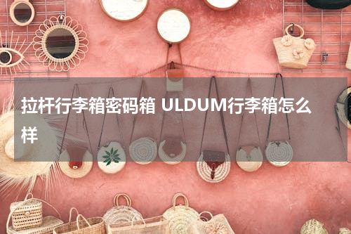 拉杆行李箱密码箱 ULDUM行李箱怎么样